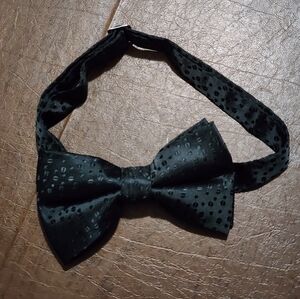 Elegant Black Bow Tie